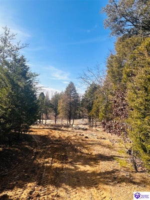 350 CAVE CREEK RD, FALLS OF ROUGH, KY 40119 - Image 35efba69a044ce41298d67cfc5fe9938/4216856467
