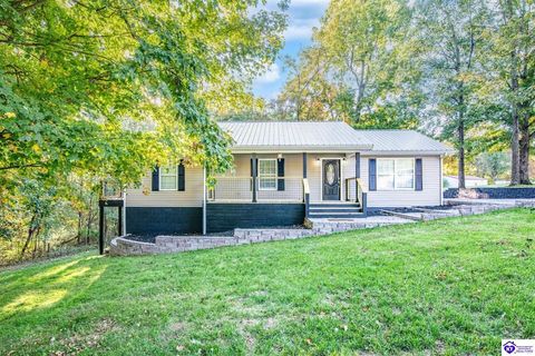 624 Watson School Road, Leitchfield, KY 42754 - #: HK25004610