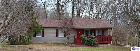 429 Blue Ridge Road, Campbellsville, KY 42718 - MLS#: HK25000485