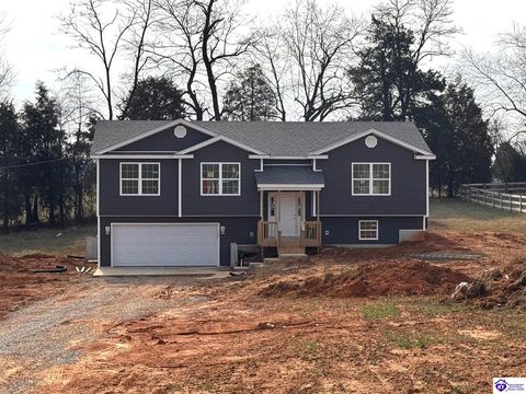 135 Mandan Ct, Guston, KY 40142 - MLS#: HK25000517