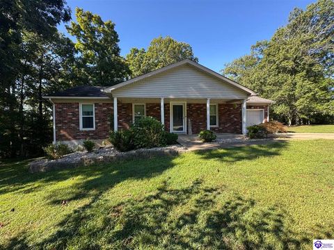 3017 Doe Valley Parkway East Pkwy, Brandenburg, KY 40108 - #: HK25004663