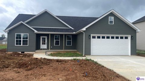 424 Lambrusco Way, Vine Grove, KY 40175 - #: HK25005003