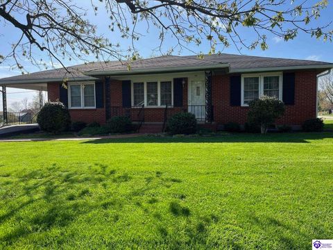 123 Hutcherson Heights Drive, Hodgenville, KY 42748 - MLS#: HK25001491