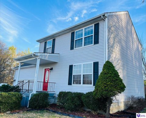 223 Lea Court, Rineyville, KY 40162 - MLS#: HK25000427