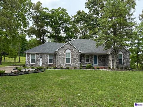 608 Birch Drive, Elizabethtown, KY 42701 - #: HK25005045