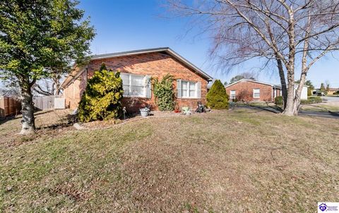 238 Oakwood Drive, Elizabethtown, KY 42701 - MLS#: HK25000798