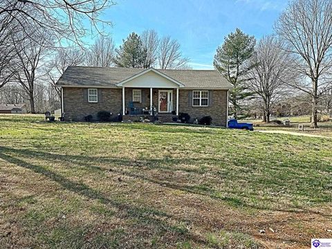 323 Meadow Hill Road, Campbellsville, KY 42718 - #: HK24000639