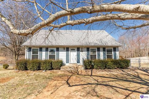 531 Rose Creek Drive, Radcliff, KY 40160 - MLS#: HK25000749