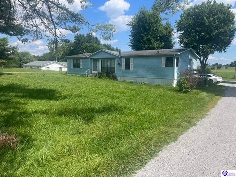 223 Boone Road, Rineyville, KY 40162 - #: HK23002540