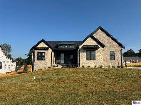 209 Reelfoot Drive, Elizabethtown, KY 42701 - #: HK24002653