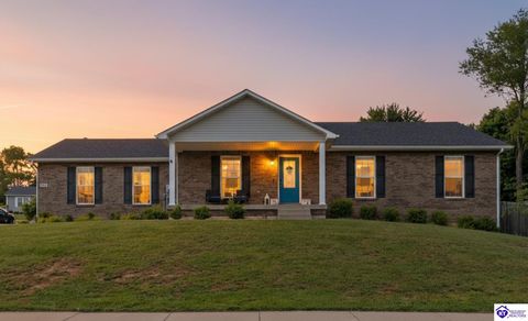 212 Emerson Drive, Elizabethtown, KY 42701 - #: HK2600107