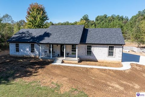 3451 Sportsman Lake Road, Elizabethtown, KY 42701 - #: HK25003868