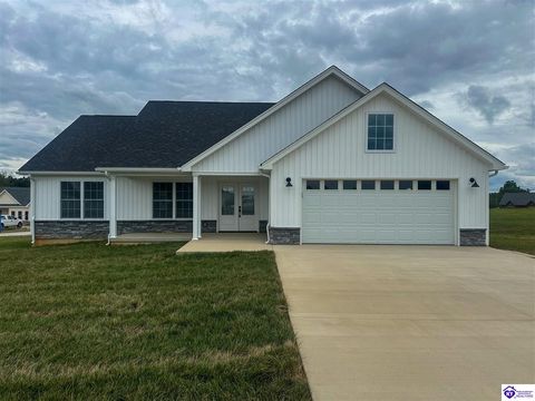 333 Paige Meredith Parkway, Brandenburg, KY 40108 - #: HK25002818