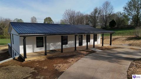 301 Pawley Lane, Rineyville, KY 40162 - #: HK2601327