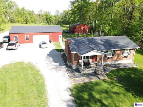 1036 Berry Cain Road, Guston, KY 40142 - #: HK24001573