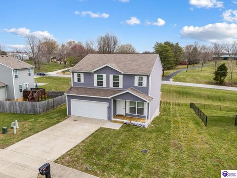 103 Dewberry Court, Elizabethtown, KY 42701 - MLS#: HK25001093