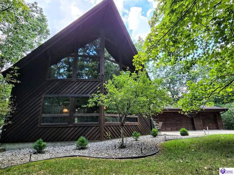 78 Hickory Hills Court, Brandenburg, KY 40108 - #: HK25003377