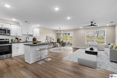 206 B Hunter Lane, Elizabethtown, KY 42701 - MLS#: HK25001400