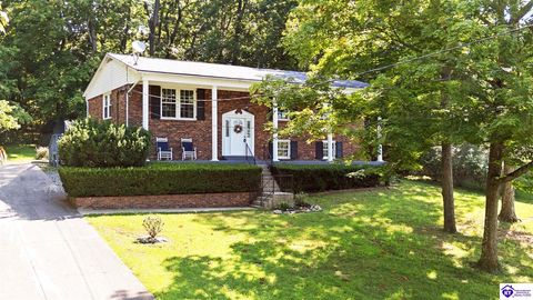 263 Hampton Road, Brandenburg, KY 40108 - #: HK25002886