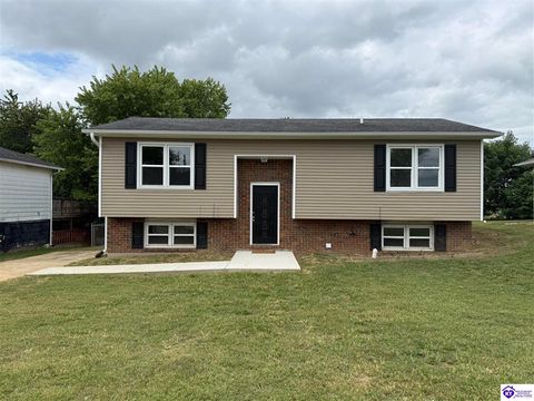 215 Davis Street, Campbellsville, KY 42718 - #: HK25003240