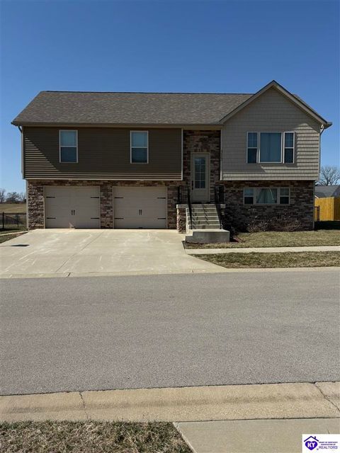 315 Valhalla Trace, Vine Grove, KY 40175 - MLS#: HK25000746