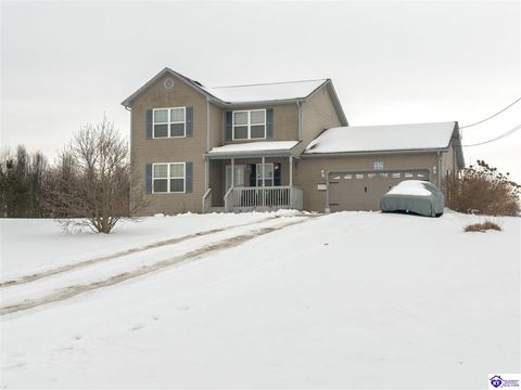 215 County Pond Road Vine Grove KY 40175