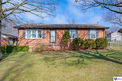 603 Stephen St, Vine Grove, KY 40175 - MLS#: HK25000931