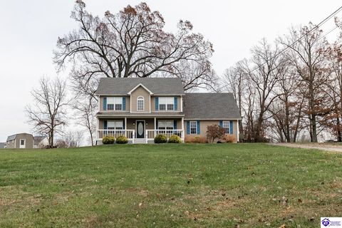161 Delaney Court, Rineyville, KY 40162 - #: HK25004955