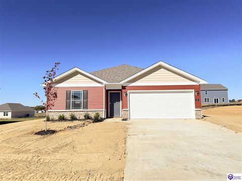 87 Ellis Park, Elizabethtown, KY 42701 - #: HK25004022