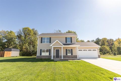 114A Shirley Boulevard, Vine Grove, KY 40175 - #: HK25004296