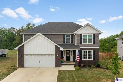 181 Mt Carmel Boulevard, Rineyville, KY 40162 - #: HK25003690