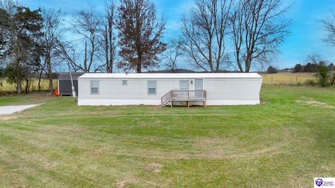 449 Horn Road Cecilia KY 42724