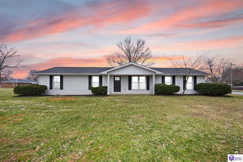 2960 Old Lebanon Road, Campbellsville, KY 42718 - #: HK2600791