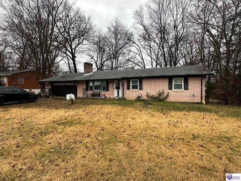 202 Edgewood Drive, Radcliff, KY 40160 - #: HK25005215