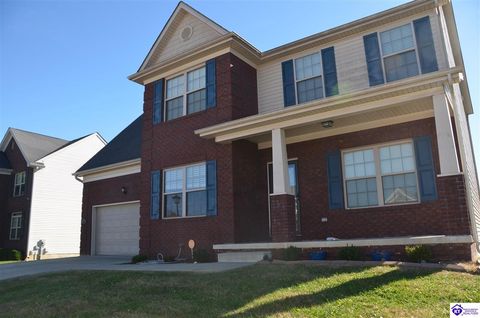 309 Merlot Court, Vine Grove, KY 40175 - #: HK25004853