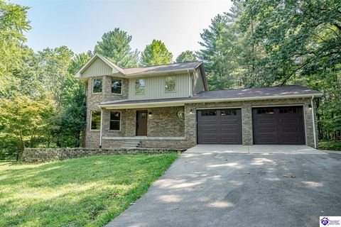 2656 Doe Valley Parkway East Pkwy, Brandenburg, KY 40108 - #: HK25004471