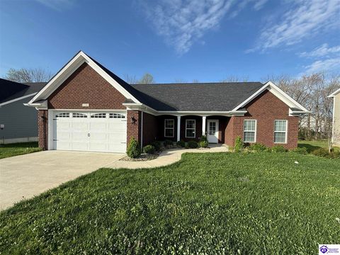 116 Elegance Way, Elizabethtown, KY 42701 - MLS#: HK25001378