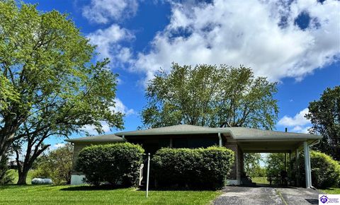 84 Mt Merino Cemetery Lane, Irvington, KY 40146 - MLS#: HK25001766