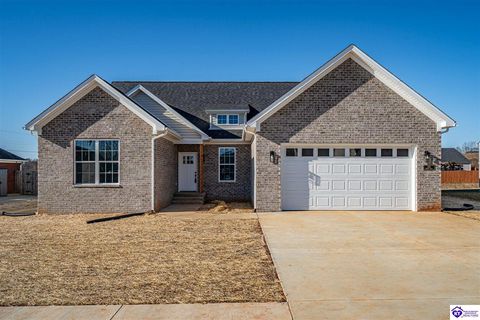 103 Blatina Drive, Vine Grove, KY 40175 - #: HK25003536