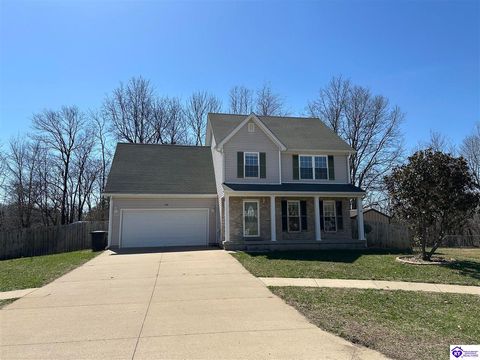 704 Slippery Rock Court, Vine Grove, KY 40175 - MLS#: HK24004236