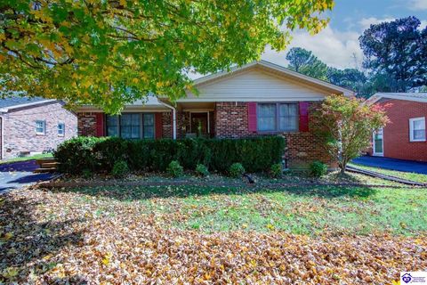 517 N Mantle Avenue, Elizabethtown, KY 42701 - #: HK25004045