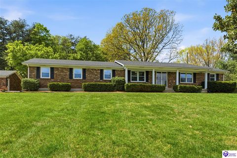 109 Fireside Drive, Brandenburg, KY 40108 - #: HK2601452