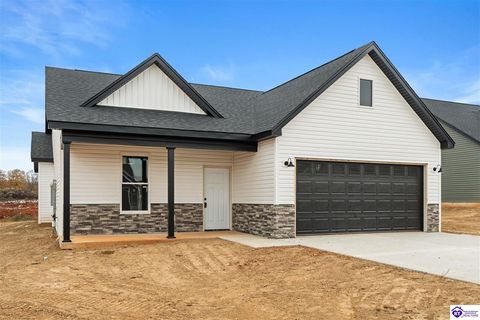 52 Betty Boyd Lane, Brandenburg, KY 40108 - #: HK25004356