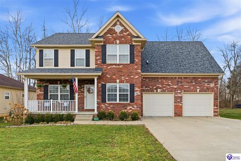 361 Vineland Place Drive, Vine Grove, KY 40175 - #: HK2600824