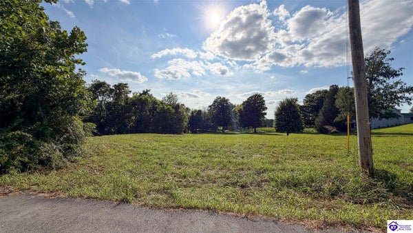 BRUSHY FORK DR, VINE GROVE, KY 40175 - Image 7d4aaacd60386c817cdf0e76aa841cdb/2151372495