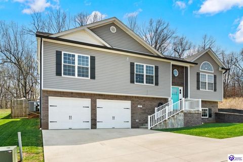 136 Lowball Lane, Vine Grove, KY 40175 - #: HK25001278