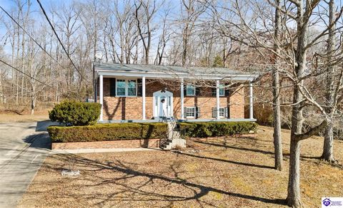 263 Hampton Road, Brandenburg, KY 40108 - MLS#: HK25001954