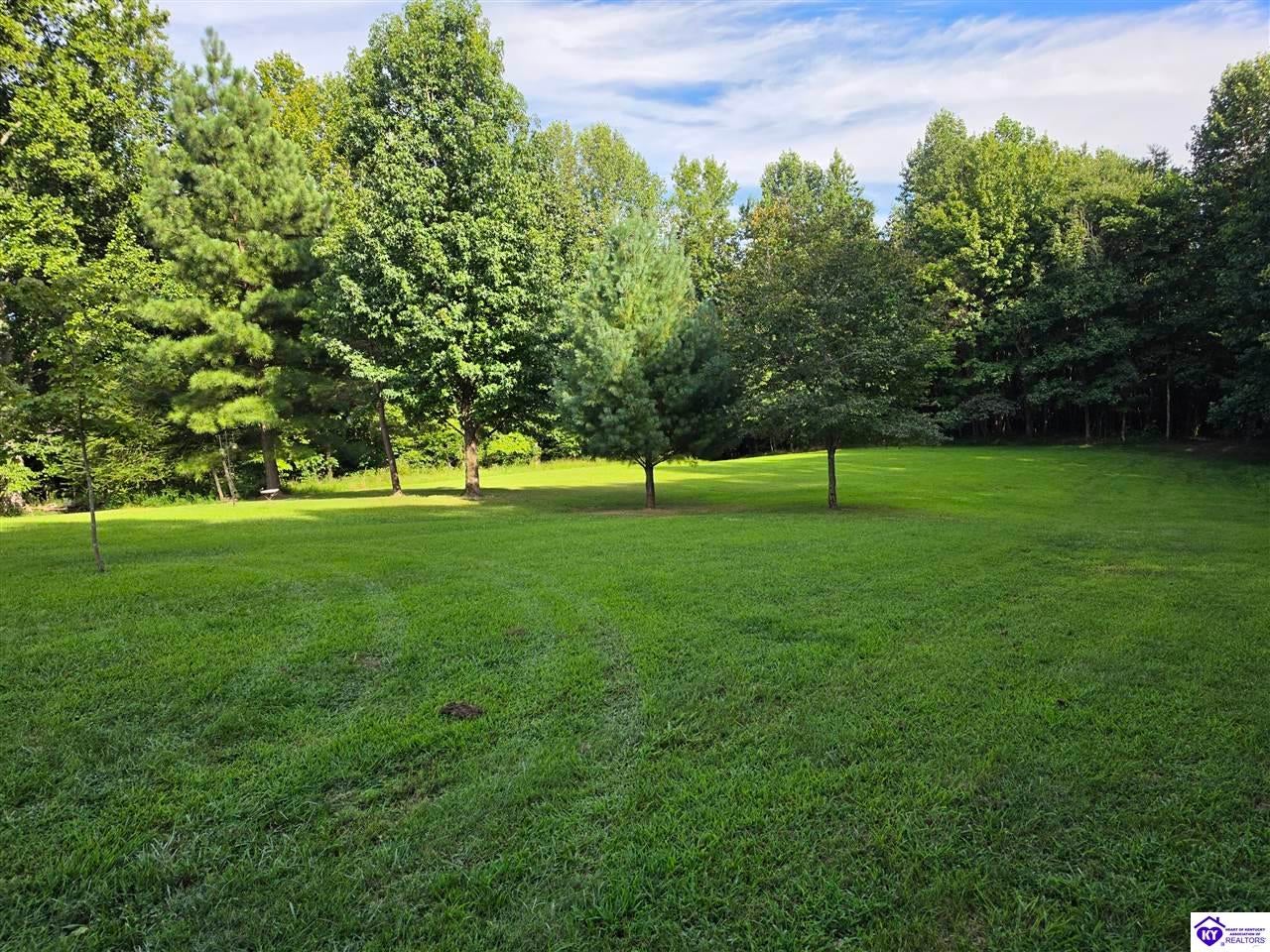 7985 Knifley Road - Photo 4