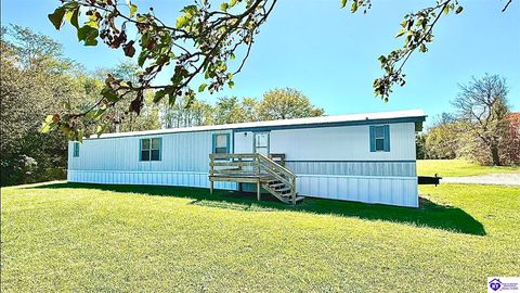 2335 Guston Road, Guston, KY 40142 - #: HK25004449