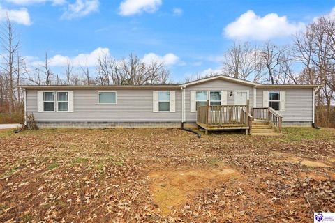 2646 Fort Avenue, Vine Grove, KY 40175 - #: HK25005019